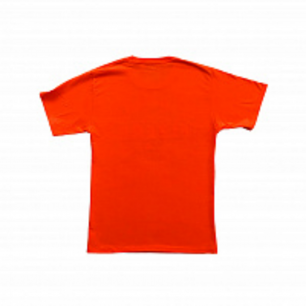 Футболка мужская Champion NHL Philadelphia Flyers, цвет orange
